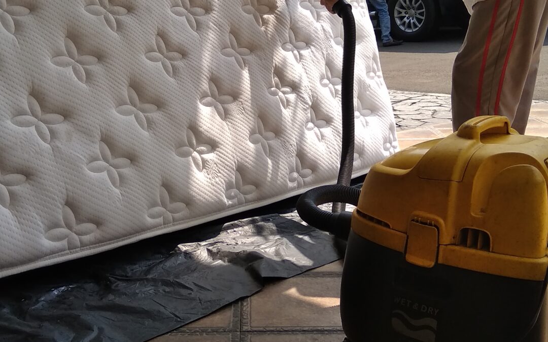 Jasa Cuci Springbed Di Sukaraja Bogor